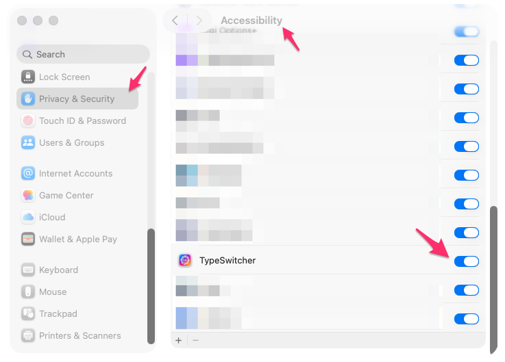 macOS Privacy and Security Accessibility permission list with TypeSwitcher enabled
