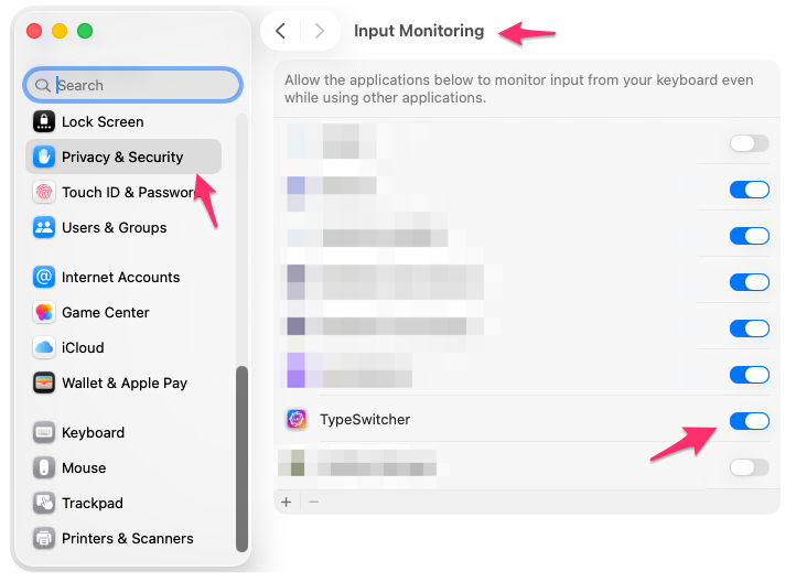 macOS Privacy and Security Input Monitoring permission list with TypeSwitcher enabled